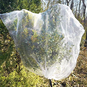 32 Mesh Insect Net, Black of Aphids