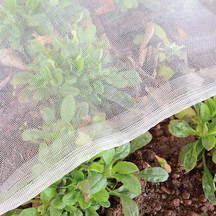All Information about Anti Insect Netting